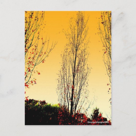 「Lone Sentinel」 ポストカード (正面)