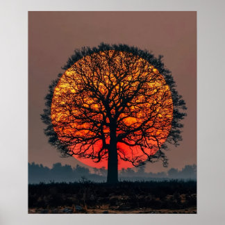 Lone Tree at Sunset ポスター