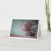 Lone Tree In Infrared Photography (2621) カード (正面)