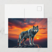 Lone Wolf at Sunset ポストカード (正面/裏面)