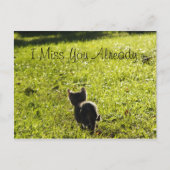 Lonely Kitten「あなた」恋しく思のポストカード*カスタマイズ可能 ポストカード (正面)