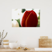 LoneRedチューリップポスター ポスター (キッチン)