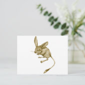 Long eared Jerboa ポストカード (スタンド正面)