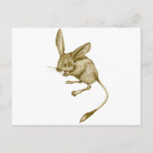 Long eared Jerboa ポストカード (正面)