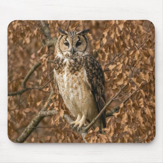 Long-eared Owl Hiding in Brown Leaves マウスパッド (正面)