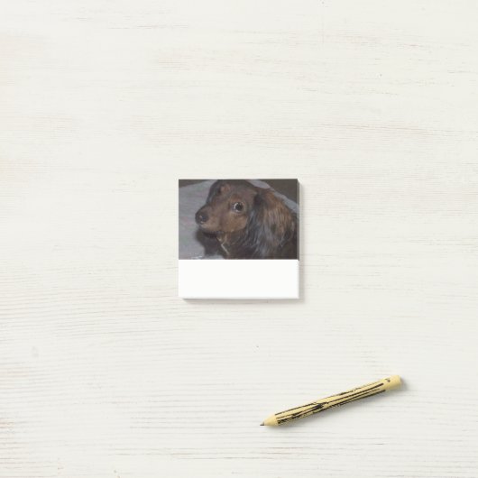 Long-Fold Dachshand Post it Notes ポストイット (デスク上)