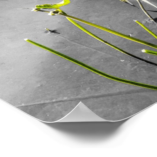 Long Forgotten Childhood Poster Print ポスター (角)