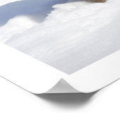 Long-Haired Shepherd in Snow ポスター (角)