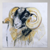 Long Horn Sheep ポスター (正面)