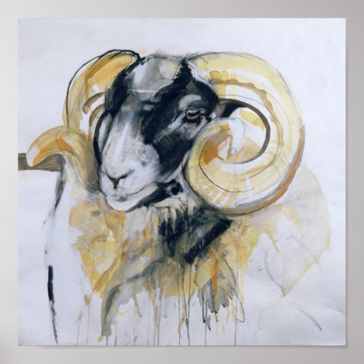 Long Horn Sheep ポスター (正面)