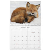 Long Island Calendar カレンダー (1月 2027)