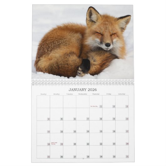 Long Island Calendar カレンダー (1月 2026)