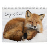 Long Island Calendar カレンダー (カバー)
