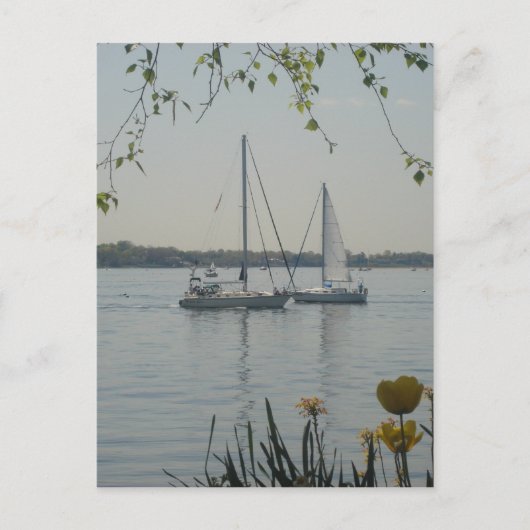 Long Island Sound ポストカード (正面)