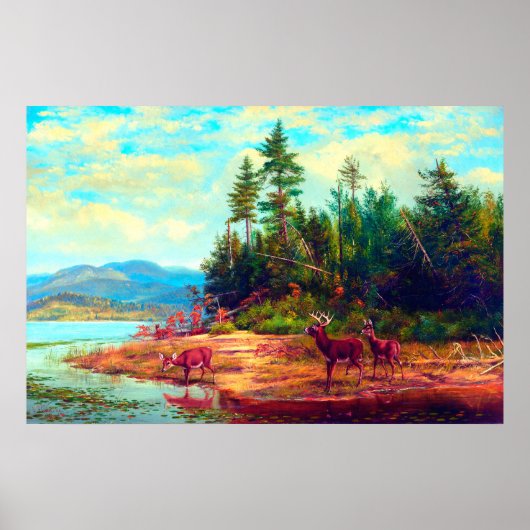 Long Lake Arthur Fitzwilliam Tait 1882のビュー ポスター (正面)