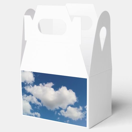 Long soft cloud フェイバーボックス (オープン)