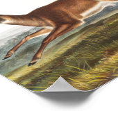 Long-tailed Deer (Cervus leucurus) Illustration ポスター (角)