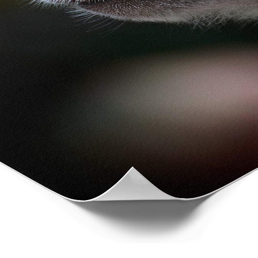 Long-Tailed Macaque Close-Up ポスター (角)