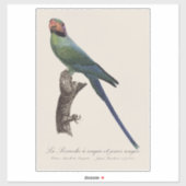 Long-Tailed Parakeet, Psittacula Longicauda シール (シート)