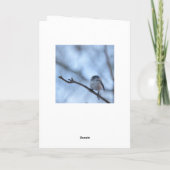 Long Tailed Tit with feather カード (裏面)