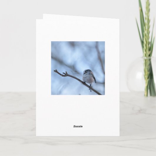 Long Tailed Tit with feather カード (裏面)