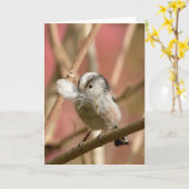 Long Tailed Tit with feather カード (黄色い花)