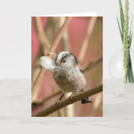 Long Tailed Tit with feather カード