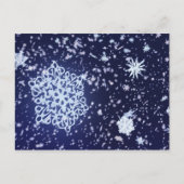 Long Winter's Nightはがき ポストカード (正面)