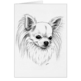 Longcoatのチワワ