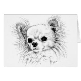 Longcoatのチワワ