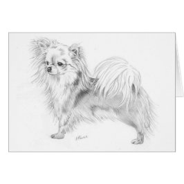 Longcoatのチワワ-立ちます