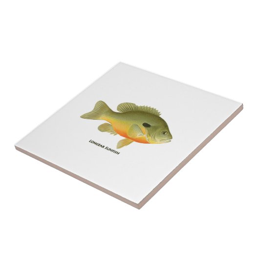 LongearのSunfish タイル (側面)