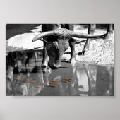 LonghornとGoldfish ポスター (正面)