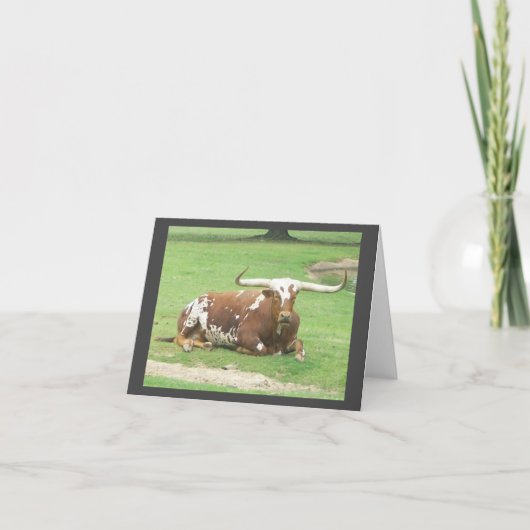 Longhornノートカード カード (正面)