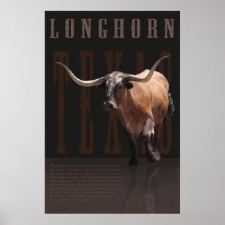 Longhornレガシポスター–40x60 – その他のサイズも ポスター
