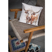 Longhornレガシー クッション