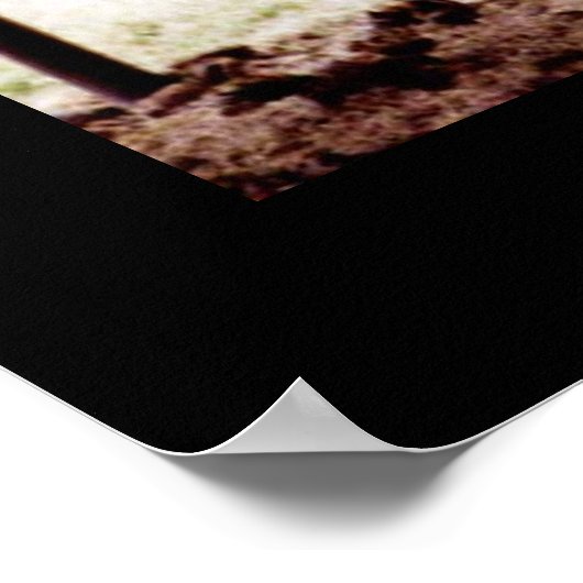 Longhorn ポスター (角)