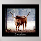 Longhorn ポスター (正面)