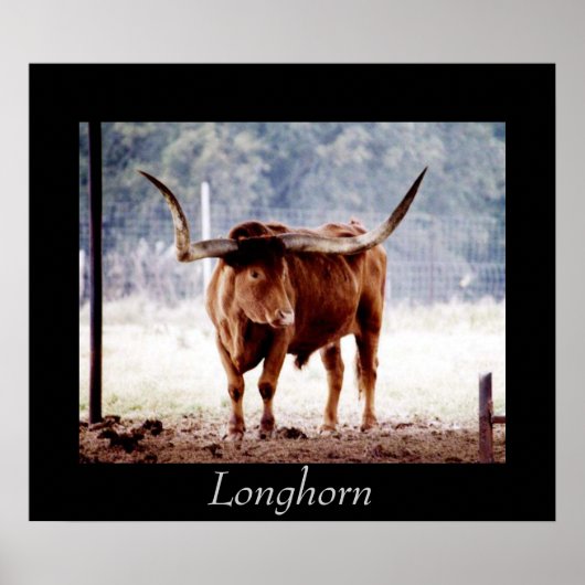 Longhorn ポスター (正面)