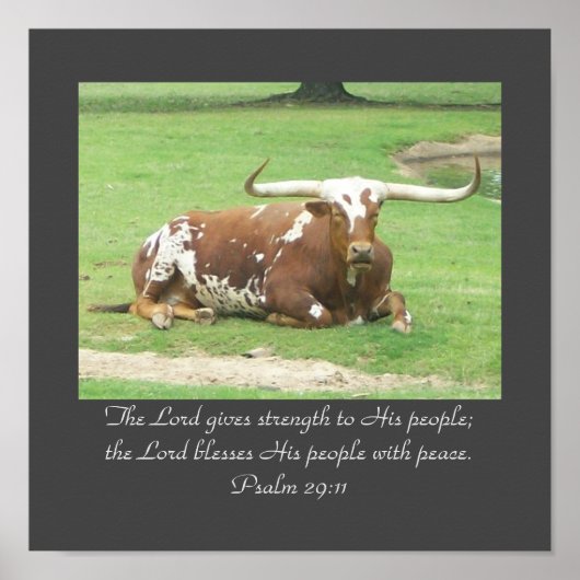 Longhorn 11"x11' Poster ポスター (正面)