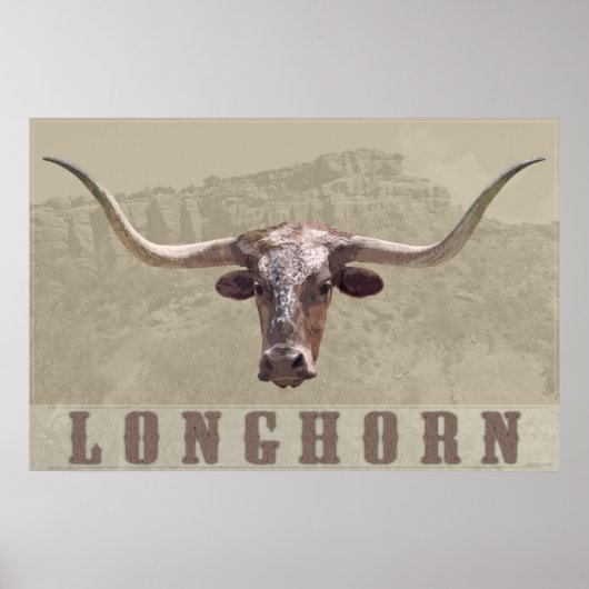 Longhorn Country Poster -60x40 – その他のサイズも ポスター (正面)