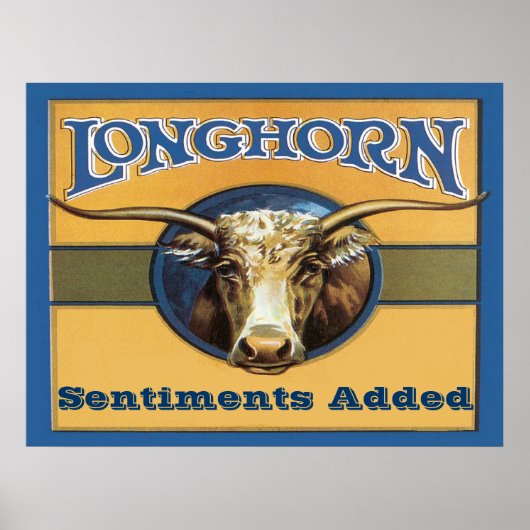 Longhorn Poster, edit text, ポスター (正面)