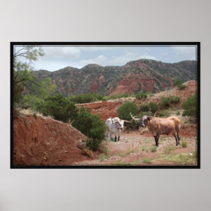 Longhorn Ravineポスター–60x40 ポスター