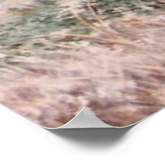 Longhorn Steer ポスター (角)