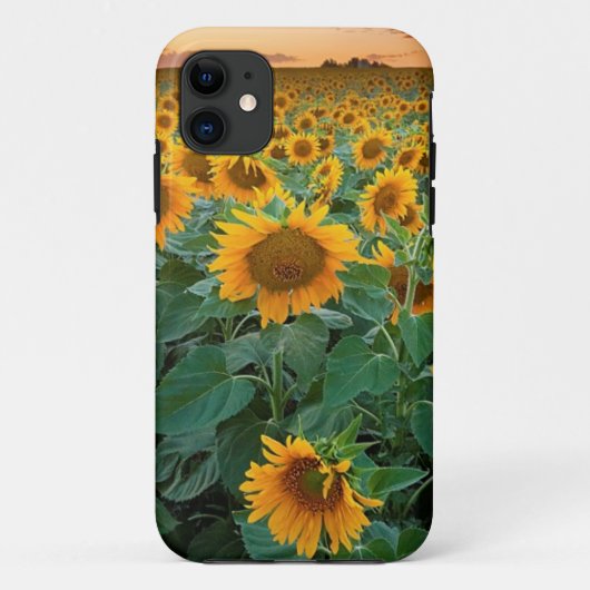 Longmont、コロラド州のヒマワリ分野 Case-Mate iPhoneケース (裏面)