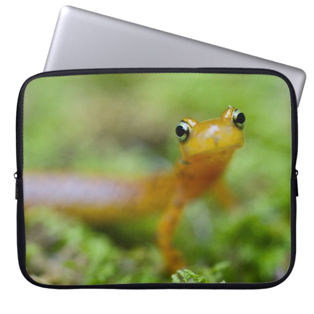 Longtailのサンショウウオ ラップトップスリーブ (正面)