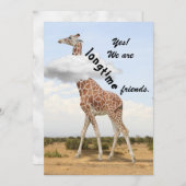 Longtime friends - with Giraffe photo シーズンカード (正面/裏面)