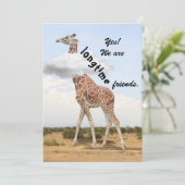Longtime friends - with Giraffe photo シーズンカード (スタンド正面)