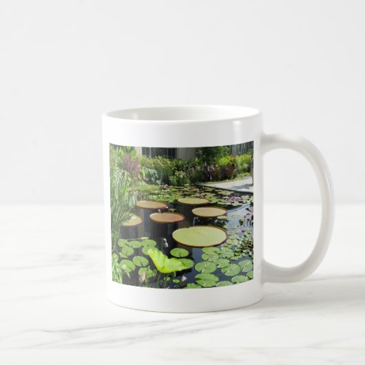 Longwoodの庭のスイレンの浮いている葉 コーヒーマグカップ (右)