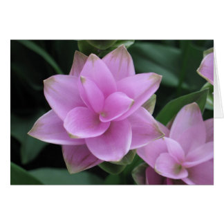 Longwoodの庭の花